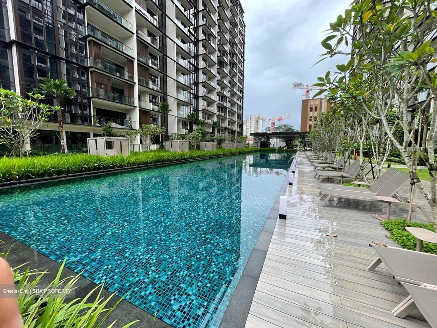 Dairy Farm Residences (D23), Apartment #558539621